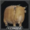 Puffer Pig