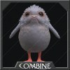 Porg