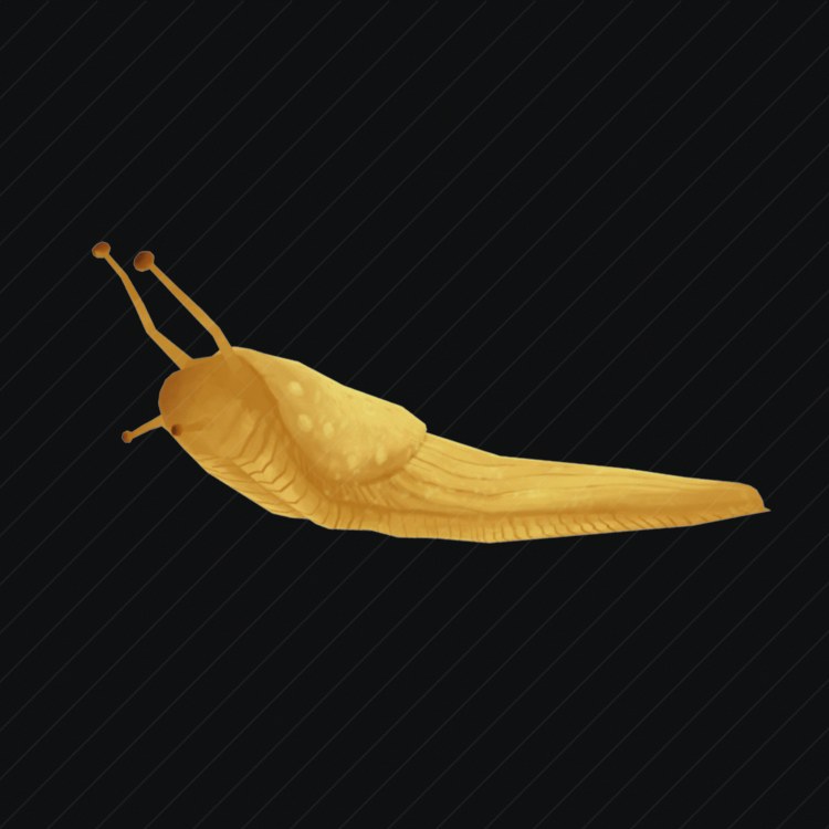Granite Slug preview