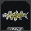 Granite Slug