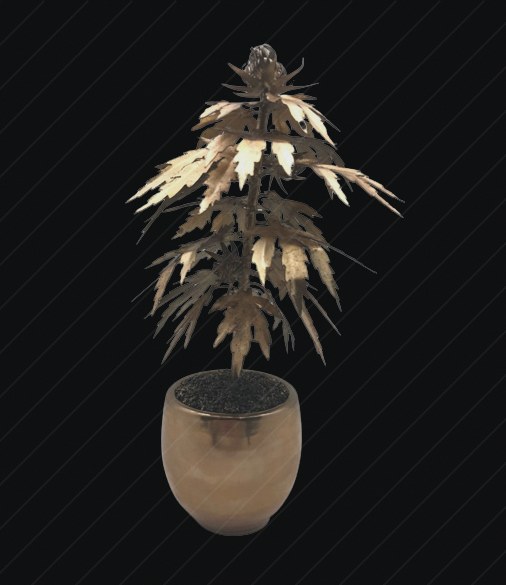 Drugs preview