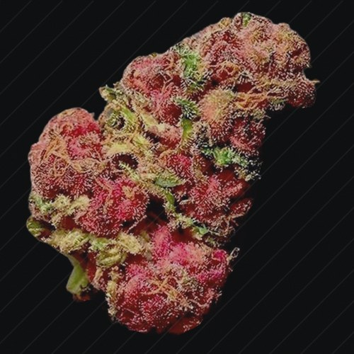 Drugs preview