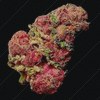Drugs