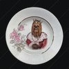 Dishes