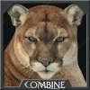 Sand Panther