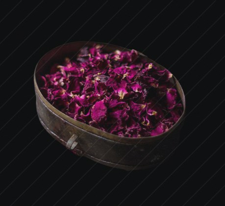 Plant preview