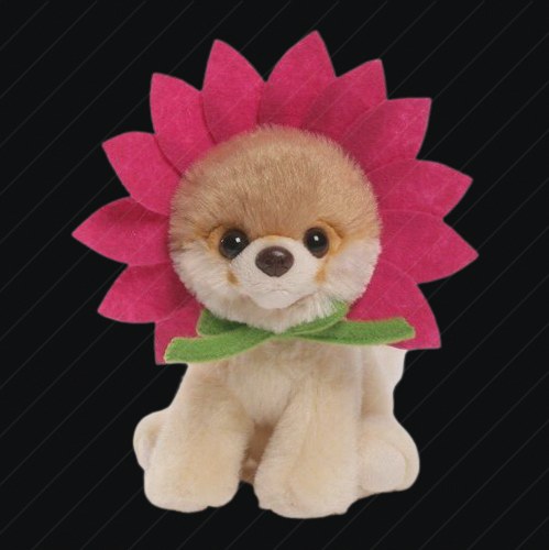 Plant preview