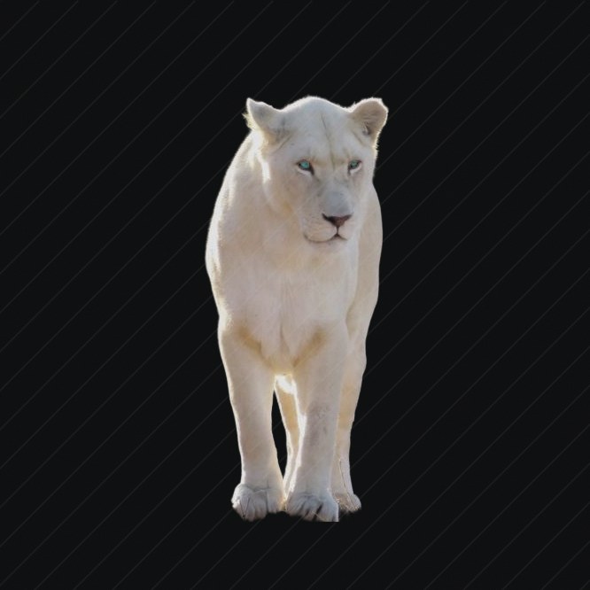 Sand Panther preview