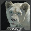 Sand Panther