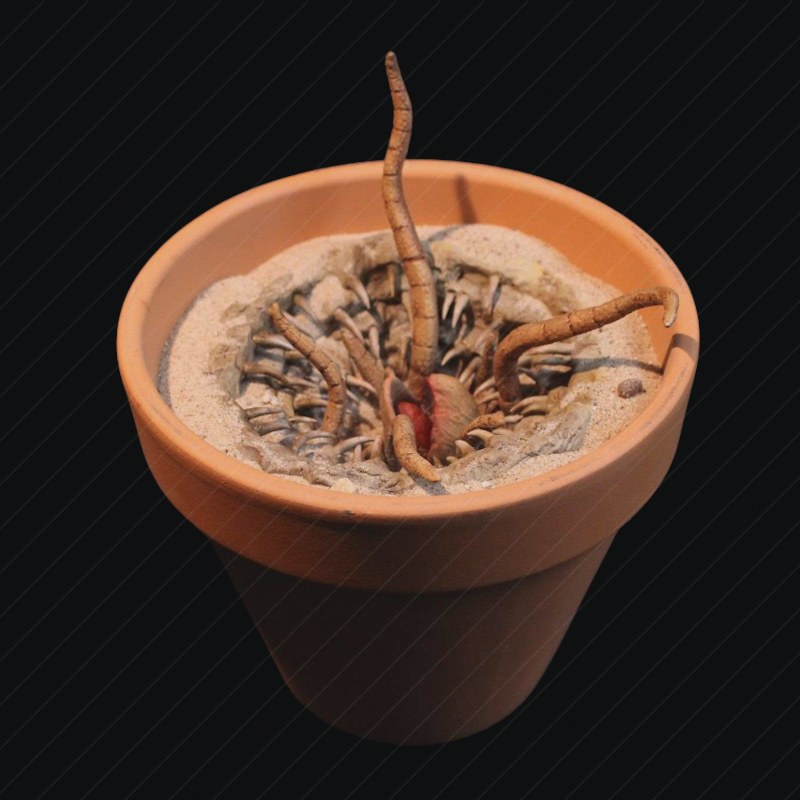 Plant preview