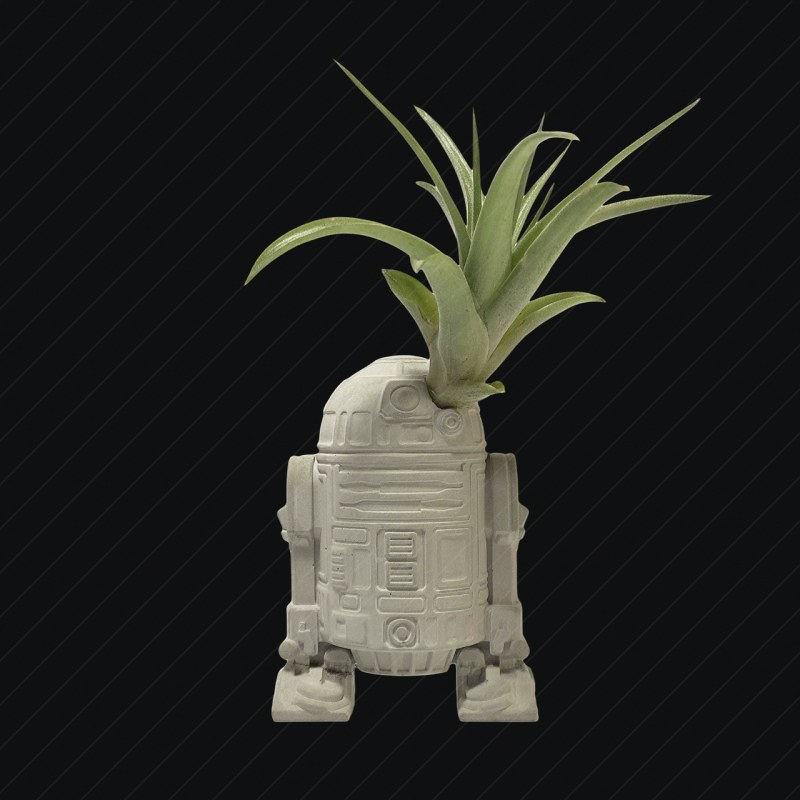 Plant preview