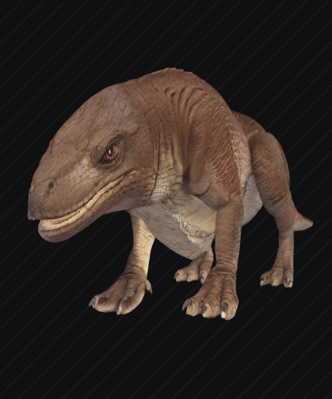 Dewback preview