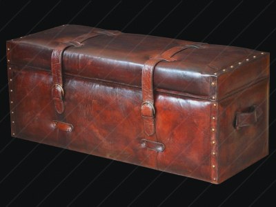 Trunk preview