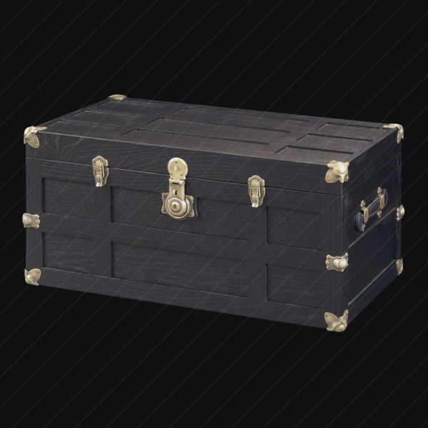Trunk preview