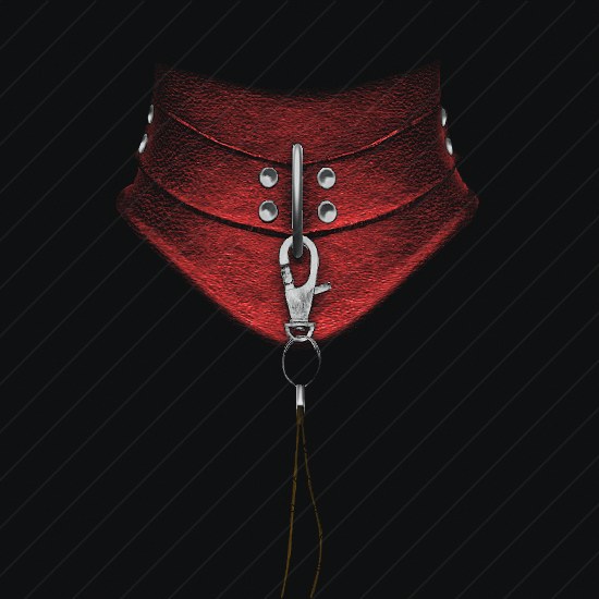 Slave Collar preview