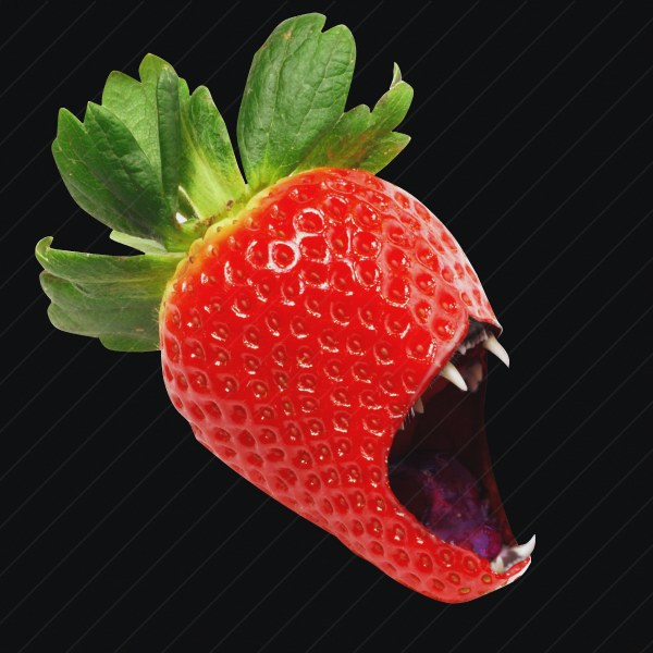 Physallis Berry Monster preview