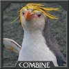 Pengauani