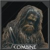 Male Wookiee