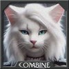 Cathar