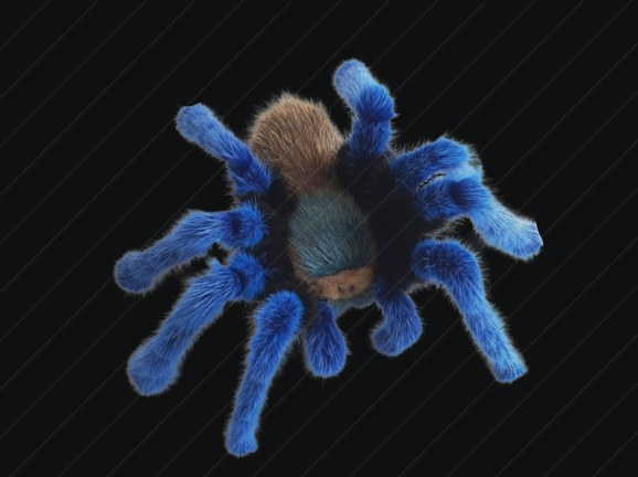 Plush preview