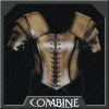 Ceremonial Armour