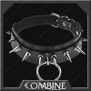 Slave Collar