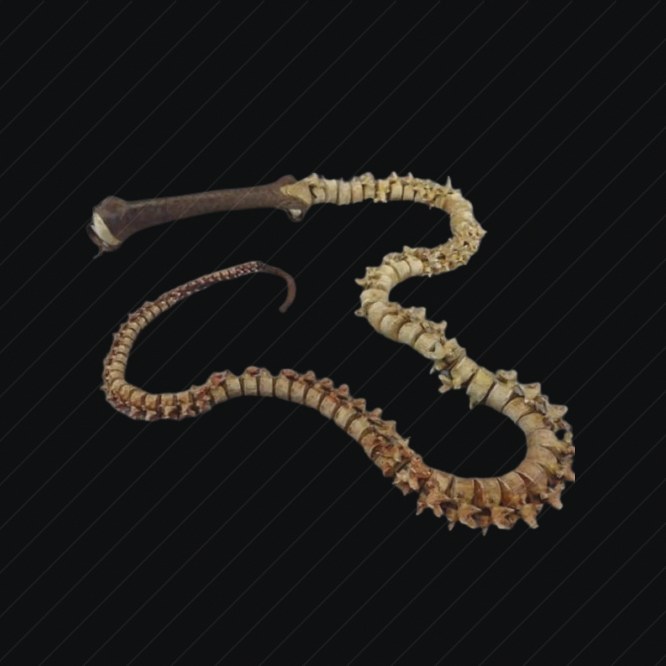 Whip preview