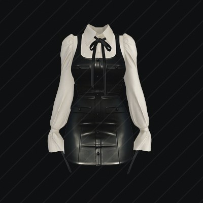 Clothing preview