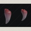 Loth-cat Teeth