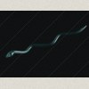 Crystal Snake